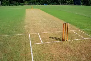 Cricket Practice Pitch
