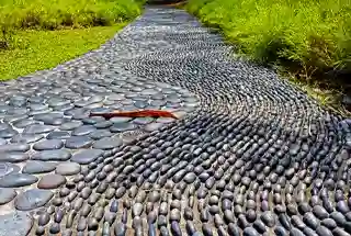 Reflexology Walking Track